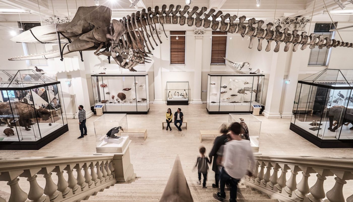 Australian Museum