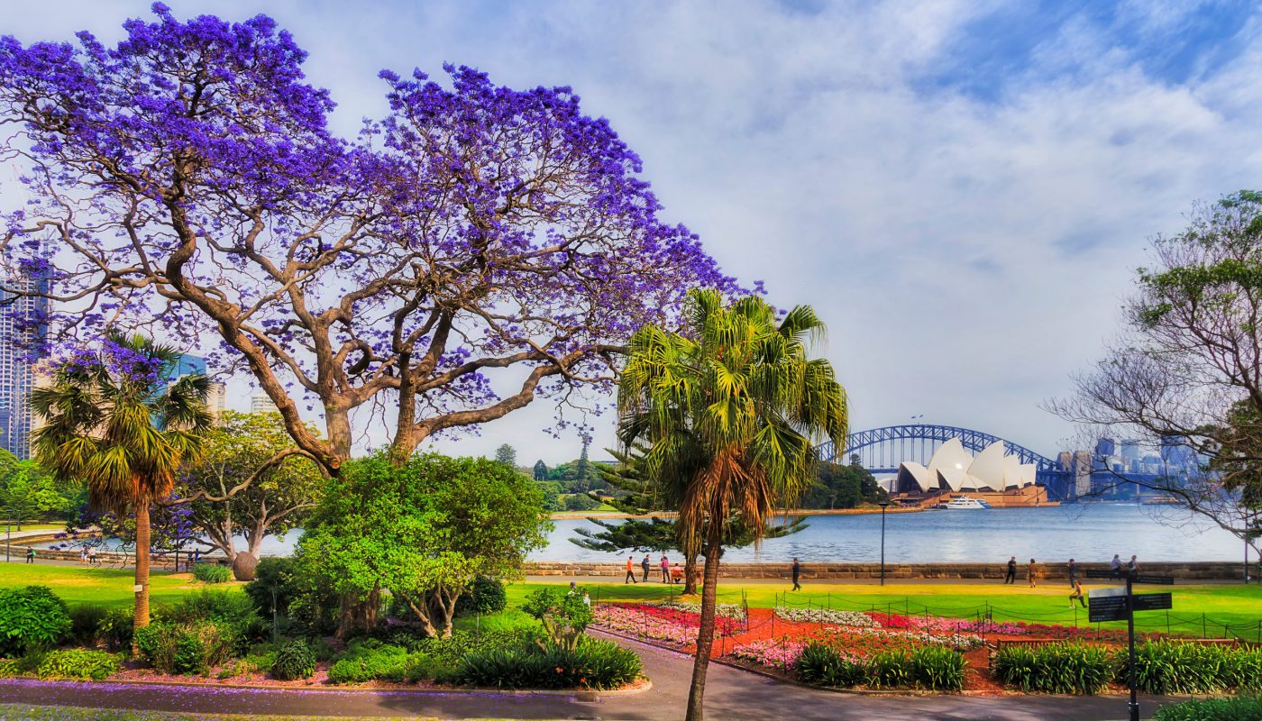 Royal Botanic Garden Sydney